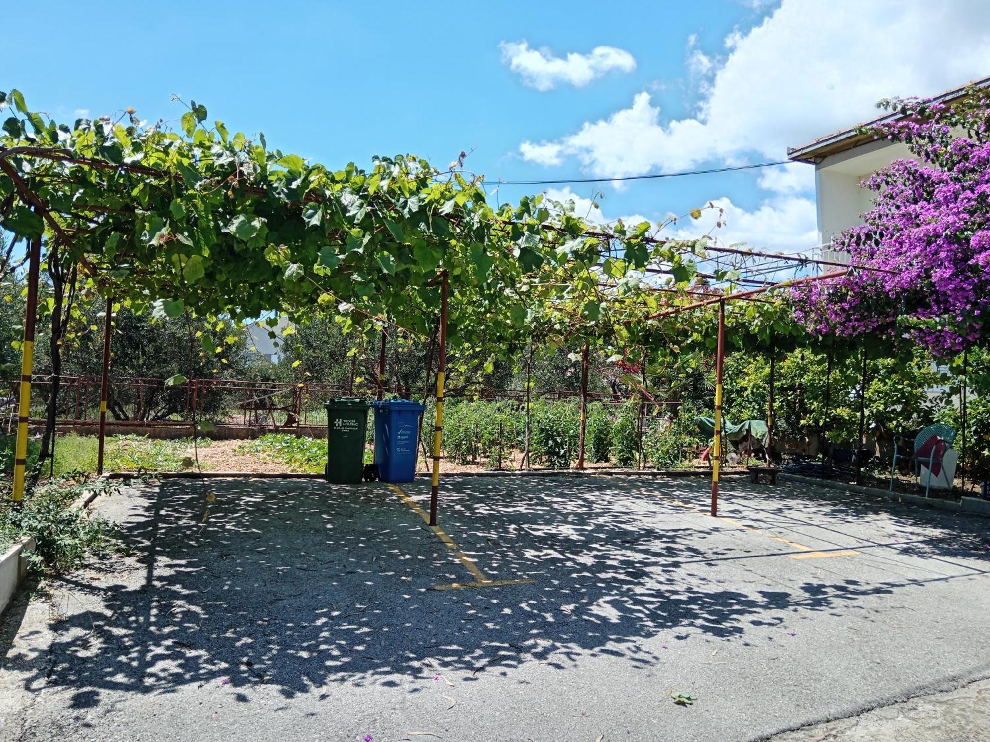 Apartament Silva *